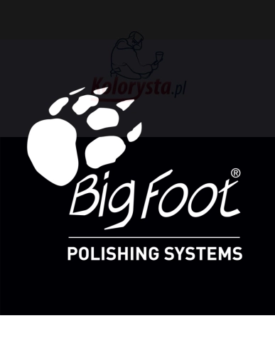 Logo systemu polerskiego RUPES - BIGFOOT