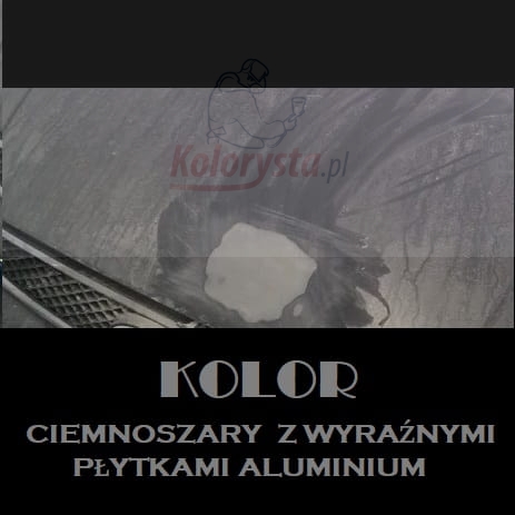KOLOR Szpachlówki z opiłkami aluminium - NOVOL - ALU.jpg