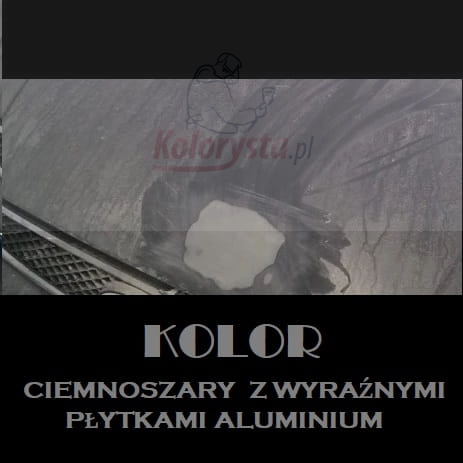 KOLOR Szpachlówki z opiłkami aluminium - NOVOL - ALU.jpg