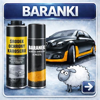 Baranki – środki ochrony karoserii