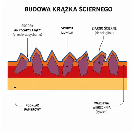 Struktura ziarna RUPES MULTIPURPOSE